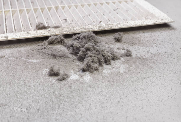 Best Air Duct Cleaning Near Me in Bellevue, IA