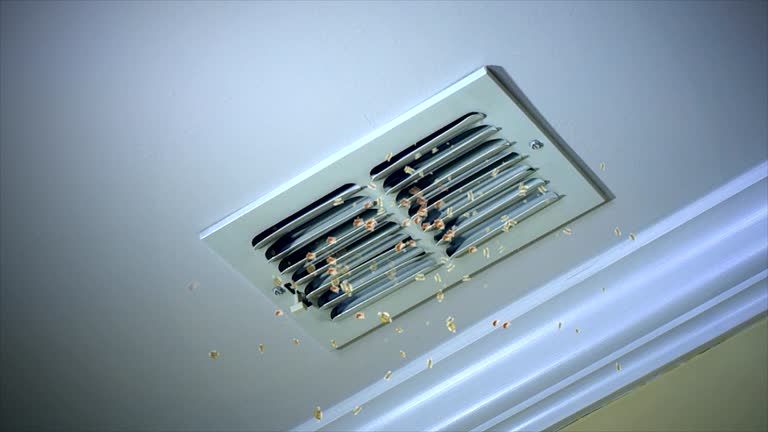 Best Affordable Duct Cleaning Services  in Bellevue, IA