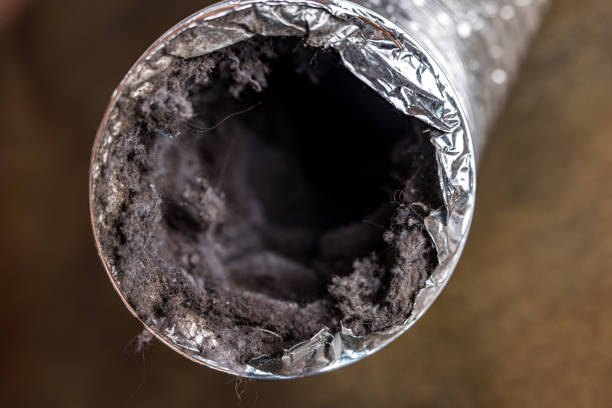 Best Professional Duct Cleaning Services  in Bellevue, IA