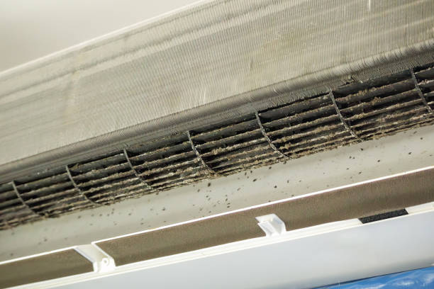 Professional Airduct Cleaning in Bellevue, IA